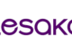 Lesaka South Africa